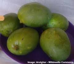 Its headquarters are located in northside, houston, texas. Types Of Mangoes Mango Varieties From Around The World With Pictures