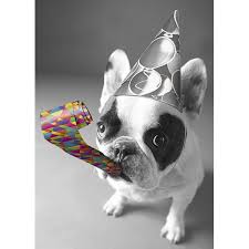 France Happy Birthday Wishes In French 46a2d10cd4264dafe37df715b0752871 Jpg 600 600 Happy Birthday French Bulldog Bulldog Happy Birthday French Bulldog Puppy