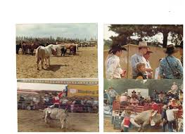 Hey all these photos...