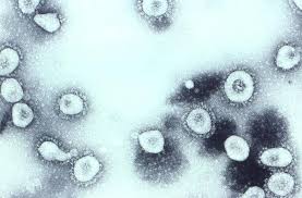 If you feel sick, please stay home. Covid 19 Symptoms And Laboratory Findings Gastroenterologists Need To Know Gastroenterology Advisor