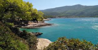 Check spelling or type a new query. H Paralia Me Ta Galana Nera Kai Ta Foyntwta Dentra Dipla Sthn A8hna
