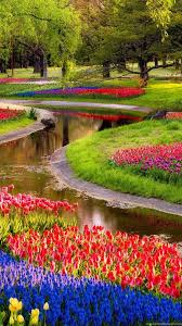 Beautiful flowers wallpapers beautiful flowers garden flowers nature exotic flowers amazing flowers beautiful roses pretty flowers pink flowers summer flowers. Beautiful Nature Flowers Garden Wallpaper Desktop Background