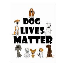 Cute Dog Lives Matter Pet Rescue Art Postcard Dogs Pets Animals Funny Weimaraner Postcard Spunky Little Dogs In 2020 Dog Lives Matter Dog Life Cute Dogs