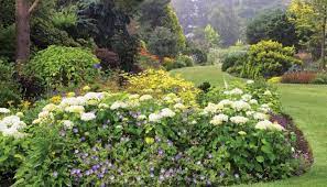Bressingham steam & gardens is a steam museum and gardens located at bressingham (adjacent to a wyevale garden centre), west of diss in norfolk, england. From Foggy Bottom Garden Bressingham Gardens