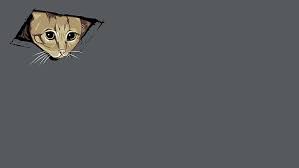 We did not find results for: Ceiling Cat 1080p 2k 4k 5k Hd Wallpapers Free Download Wallpaper Flare