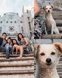 Puppy sneaks into family photo in Guanajuato