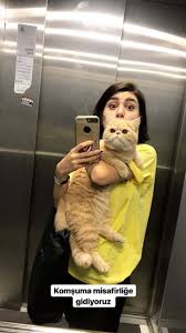 Naz Cevik Adli Kullanicinin Seyda Erdogan Panosundaki Pin Fotograf Kedi Fotograf Ipuclari