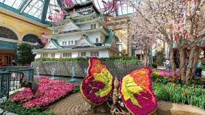 Check spelling or type a new query. Spring In Las Vegas Brings Blossoms Inside Take A Peek At The Bellagio S Garden Los Angeles Times