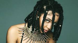 Black hairstyles braids 2019, african american females hairstyles hair braiding, creative black braided hairstyles. 20 Coolest Box Braids Hairstyles In 2021 The Trend Spotter
