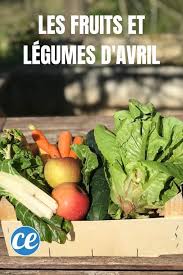 Les Fruits Et Legumes De Saison Sont Bien Plus Savoureux D Abord Ils Poussent Dans La Terre Et Non Dans En 2020 Fruits Et Legumes Fruits Et Legumes De Saison Fruits