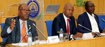 Pan African Parliament And Who Join Efforts To Champion The Health Agenda In Africa Who Regional Office For Africa