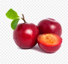 apple cartoon png download 1600 1500 free transparent common plum png download cleanpng kisspng apple cartoon png download 1600 1500