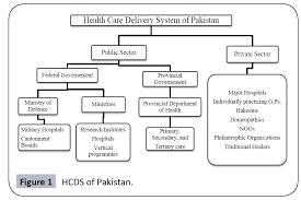 comparison and analysis of health care delivery systems