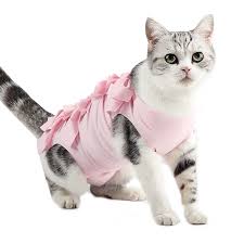 Von herkömmlichen bis hin zu natürlichen. Verhindern Sie Das Lecken Nach Der Operation Profession Eller Haustier Erholungs Anzug Katzen Kleidung Buy Katze Kleidung Katze Kleidung Kleidung Fur Haustiere Product On Alibaba Com