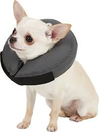 Zenpet Zencollar Inflatable Recovery Dog Cat Collar X Small