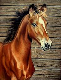 Paint Black And Brown Horse What A Doll By Anniecanjump On Deviantart Horses Horse Painting Beautiful Horses