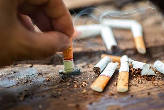 Survey Warns Flavour Ban Could Push Kenyan Smokers Back to Cigarettes