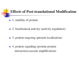 Proteins are synthesized by ribosomes translating mrna into polypeptide chains, which may then undergo ptm to form the mature protein product. Protein Post Translational Modification Ppt Download