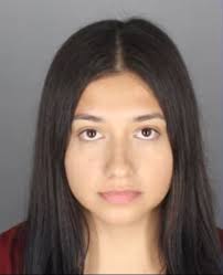 Oakland Diner in Pontiac offers breakfast, lunch, and dinner specials