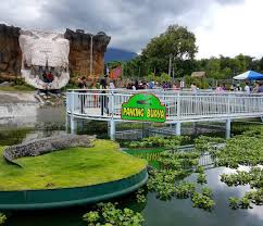 Sebuah Tempat Wisata Yang Berkonsep Ikan Predator Dan Penangkaran Buaya Yang Dikemas Dengan Begitu Memikat Berbagai Macam Ikan Predato Predator Kota Indonesia