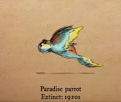 One million animal and plant species are threatened with extinction worldwide. 18 Animals That Became Extinct In The Last Century Greenpeace Uk
