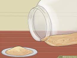 How To Grow Yeast Home Brewing Beer Wine Yeast Yeast