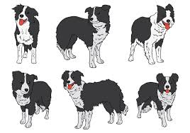 Black And White Collie Dog Clipart Free Border Collie Icons Vector Choose From Thousands Of Free Vectors Clip Art Designs Icons And Illustrations Create Border Collie Art Dog Icon Canine Art