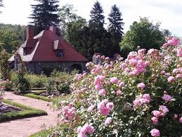 Biltmore International Rose Trials Paul Zimmerman Roses Consulting Design