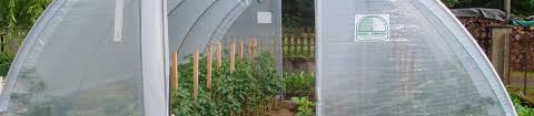 Comment Choisir Une Serre De Jardin Tunnel Verre Polycarbonate