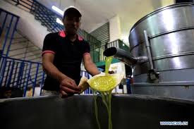 In Pics Olive Oil Processing Factory In Ajloun Jordan Xinhua English News Cn