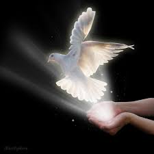 I Declare World Peace Angel Singing Idwp A New Hashtag Flickr