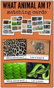 pin on all the top kid activity ideas