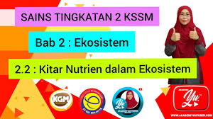 Proses tumbuhan hijau membuat makanan (glukosa) daripada air dan karbon dioksida dengan kehadiran cahaya matahari dan klorofil. Sains Tingkatan 2 Kssm Bab 2 Ekosistem 2 2 Kitar Nutrien Dalam Ekosistem Youtube