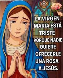 No saltes! Ofrécele una flor a la Virgen de Guadalupe.
