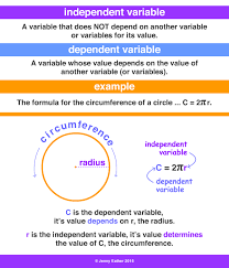 Independent Variable A Maths Dictionary For Kids Quick Reference By Jenny Eather