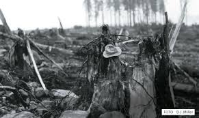 En 1964, un terremoto en alaska provocó olas que alcanzaron 67 metros de altura y dejaron más de 190 víctimas mortales. Qual Foi O Maior Tsunami Da Historia Super