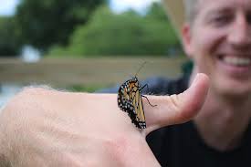 Planting with Purpose: Meet Jacob Macke, Owner of Chapman Lake Nursery