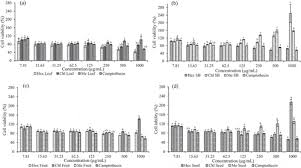 Image result for Embelia ruminata