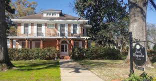 We did not find results for: Now You Can Stay In The House From Steel Magnolias 9travel