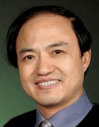 Ultrafast laser-induced morphological transformations