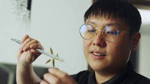 Programmes and Job Opportunities for Graduates