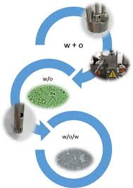 (pdf, doc, ppt, zip, rar). Preparation Of Water In Oil In Water Multiple Emulsions With Potential Use In Food Industry Chemical Engineering Technology X Mol