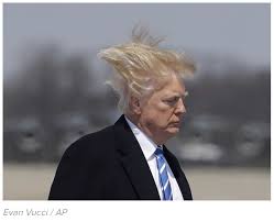 Bad hair day is the ninth studio album by weird al yankovic, which was released in 1996. 11 Murdered 4 Wounded And 1 Bad Hair Day Santa Monica Daily Press