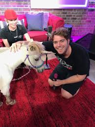 Tara Fraser Simmy3tara Twitter Shane Dawson Shane And Ryland Dawson