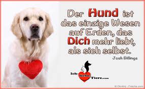 Sprüche hund mensch beziehung language:de: Der Hund Ist Das Einzige Lebewesen Auf Der Erde Das Sie Mehr Liebt Als Sich Selbst Http Www Ich Liebe Tiere Com Spruche Tiere Hund Zitat Hunde