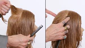 In haircutting a subsection of the hair is known as this. How To Section Hair With Precision And Accuracy Youtube