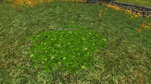 Clover Patch Lotro Housing By D Co Du Milieu
