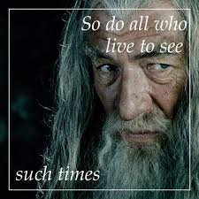 So Do All Who Live To See Such Times 2 4 Ian Mckellen Gandalf Movie Scenes The Hobbit