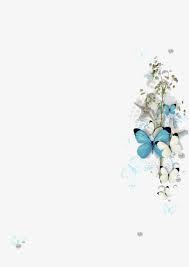 Blue Butterfly Print Flower Background Wallpaper Paper Background Flower Backgrounds