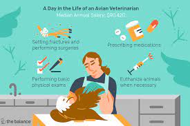 Veterinary medicine is an economically stable profession with a salary that tends to increase steadily with each year of practice. Avian Veterinarian Job Description Salary Skills More